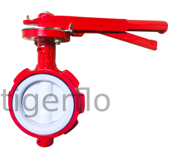 BFV PTFE2 (1)