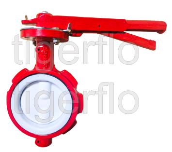BFV PTFE2