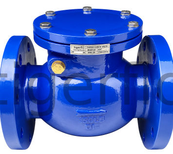 Check Valve 22